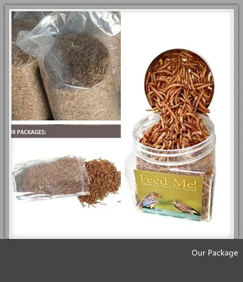 High Protein Dried Mealworm in Bulk for Wild Bird 5 KG