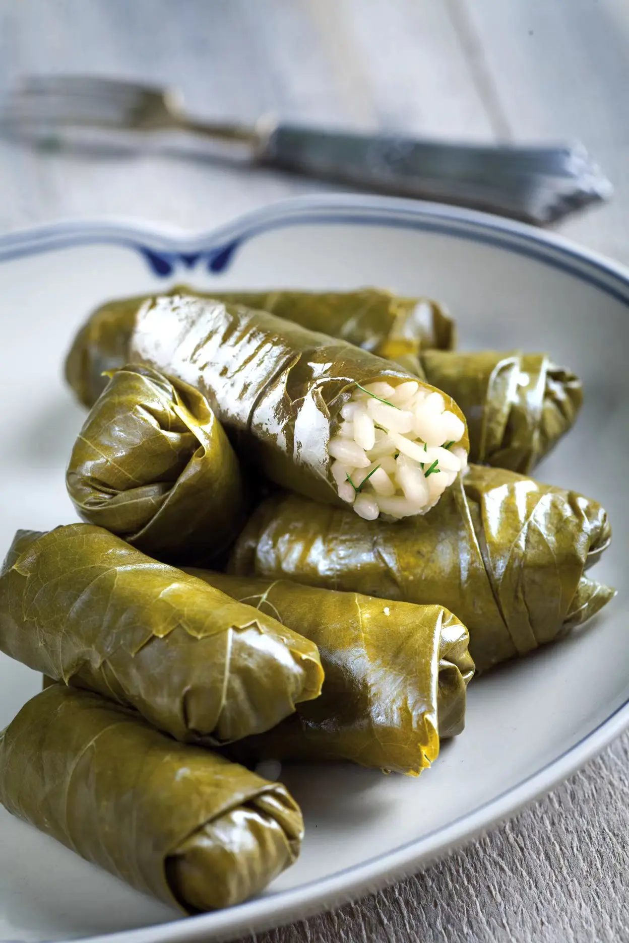 Grape Leaves in Vented Pail High Quality Grape Leaves in Brine Premium Quality
