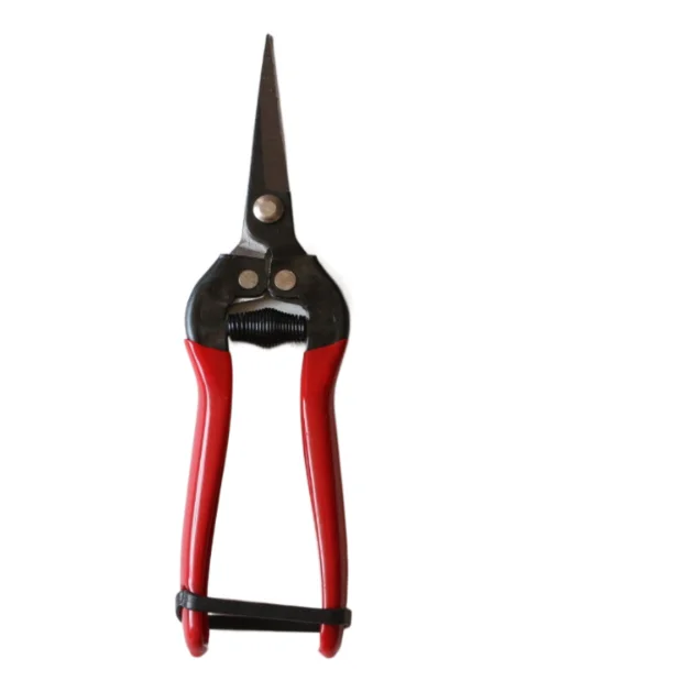 Garden Pruning Shears High Carbon Steel Blades Flower Cutting Garden Grape scissors