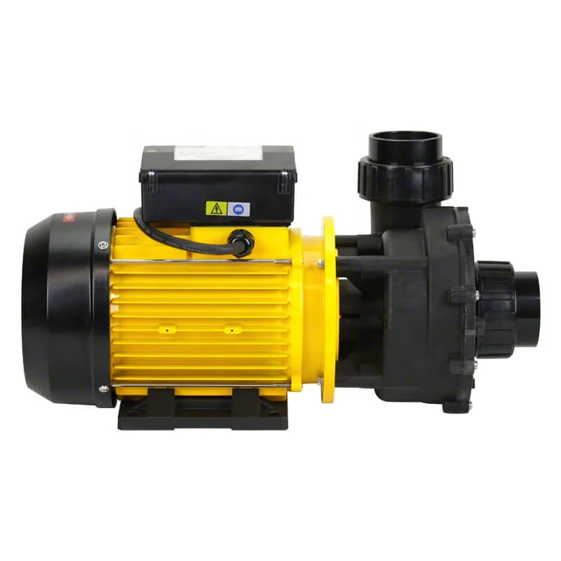 0.75KW  220V Water Pumps Aquaculture European hydro massage bath pump LX TDA-100