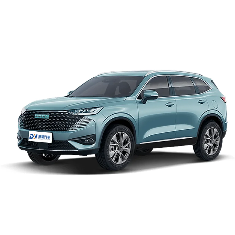 2023 Haval H6 China-Chic New Petrol and Electric Engine Manual Gear Box Light Interior with Leather Seats Rear Camera