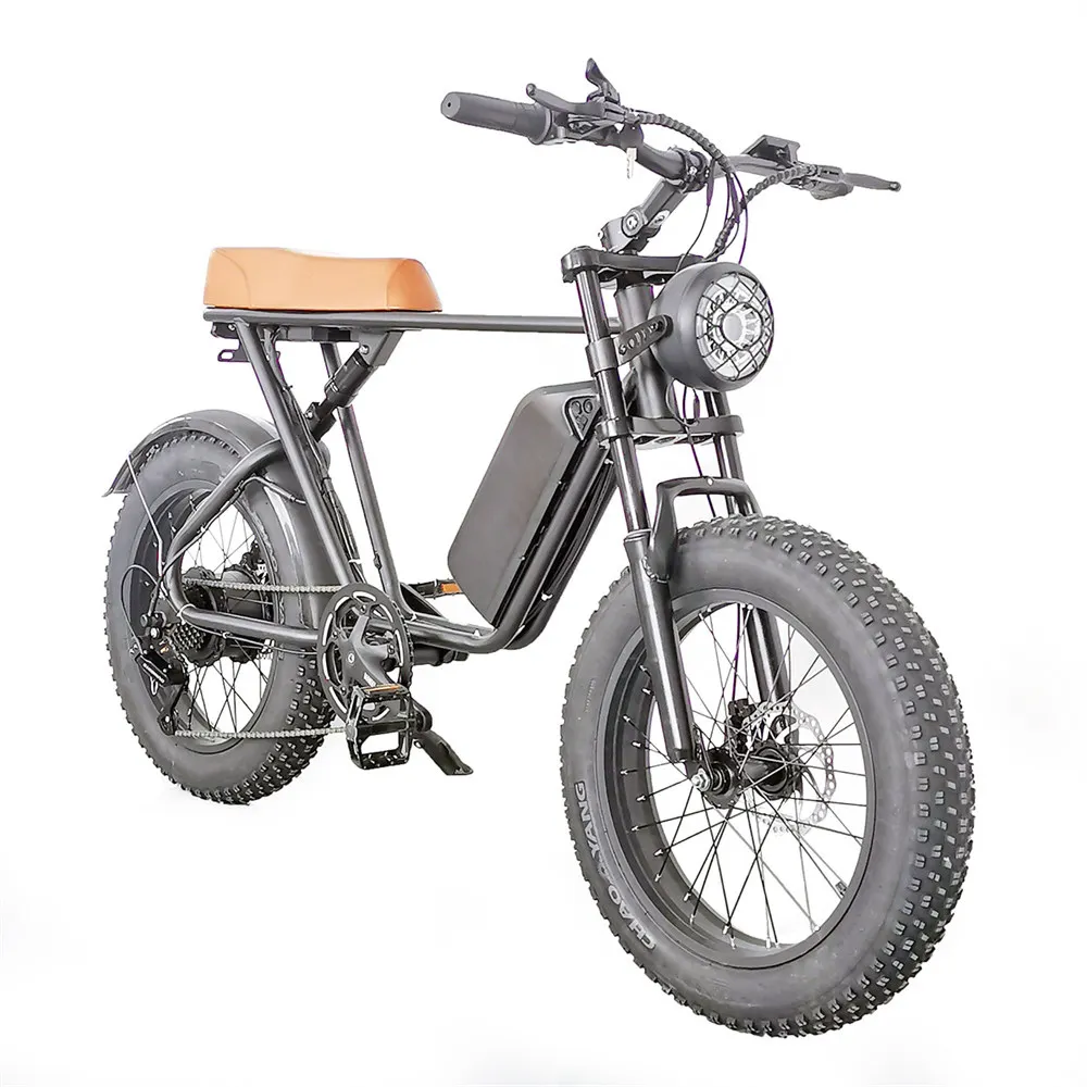 EU USA Warehouse Ready Stock C91 48V1000w 20inch Fat Tire Electric Bicycle Fatbike 17.5Ah 20Ah Electric Bike
