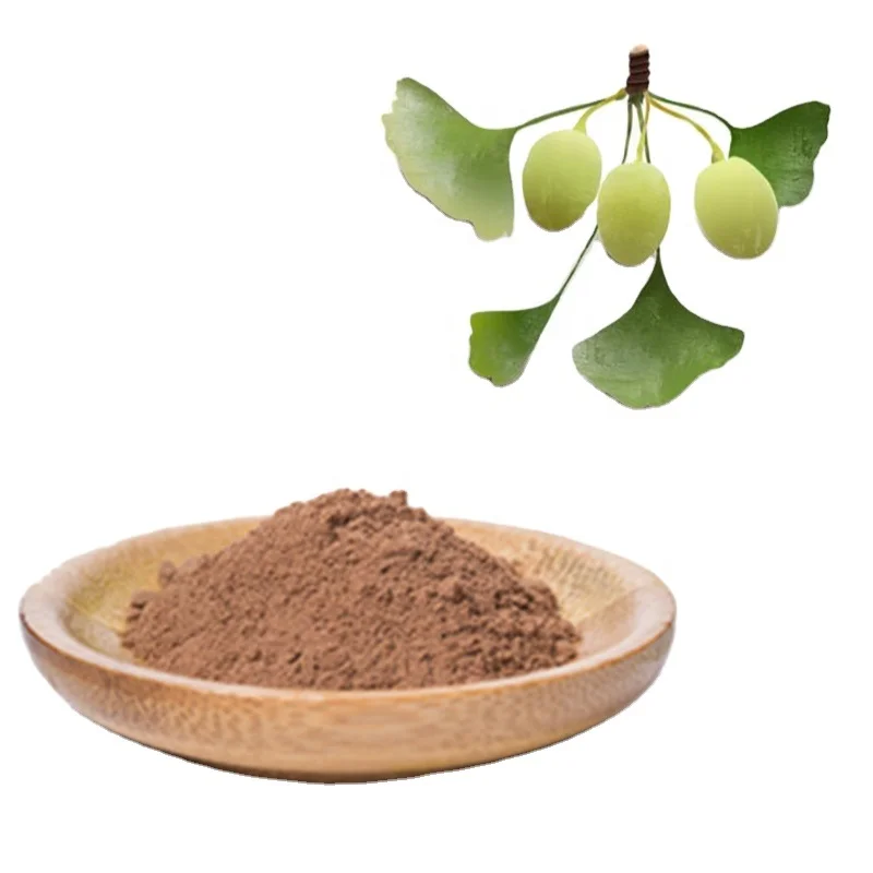 24% 6% ginkgo biloba extract flavonoids terpene lactones ginkgo biloba leaf extract