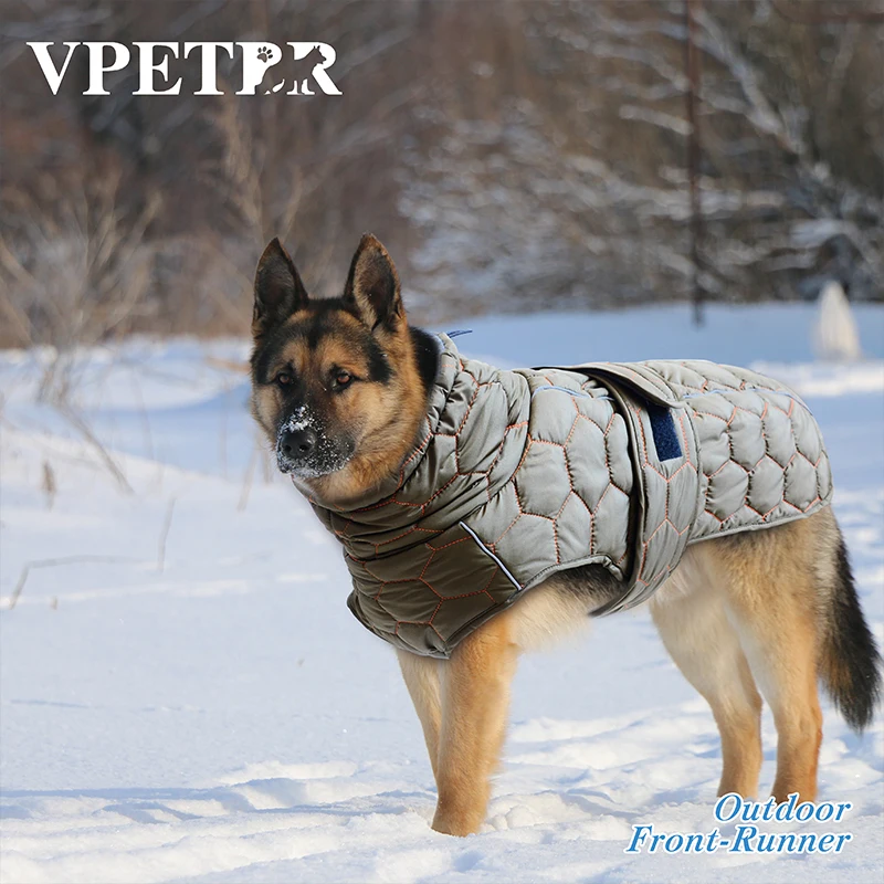 Designer Brand Winter Large Custom Cat Apparel Jacket Cute Small Pet Coat Wholesale Luxury Polyester Greyhound Dog Clothes