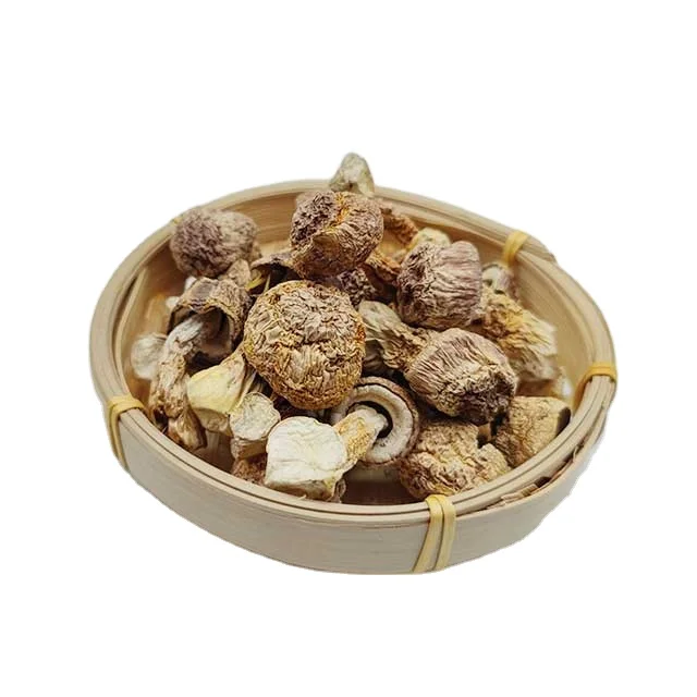 Натуральные высококачественные грибы agaricus blazei Agaricus