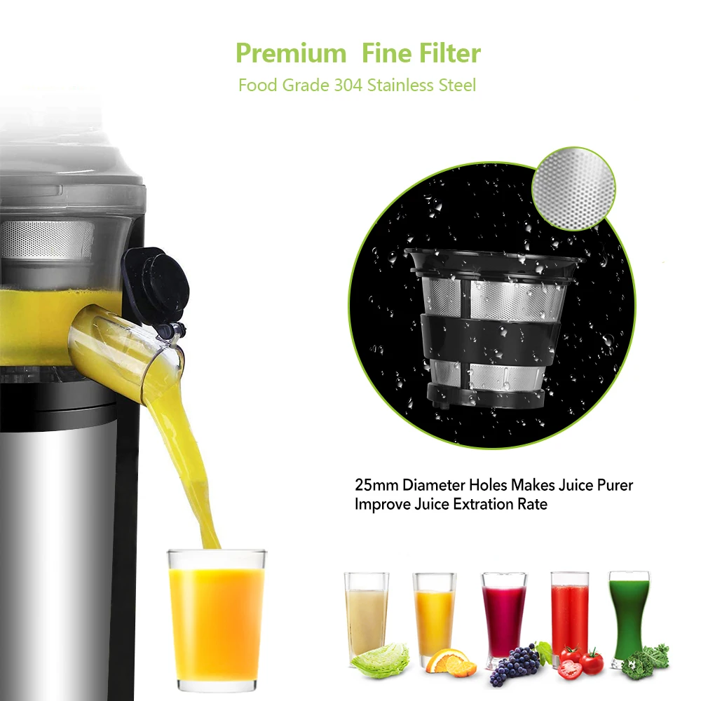 BioloMix 200W 40RPM Stainless Steel Masticating Slow Auger Juicer Fruit and Vegetable Juice Extractor Compact Cold Press Juice