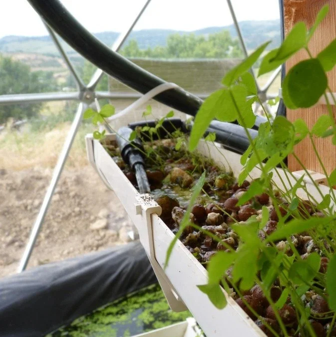 China custom-built glass geodesic dome greenhouse domes for sale