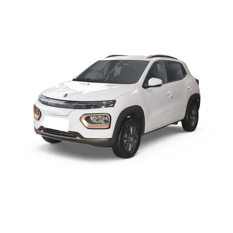 Купите хорошо принятый 5-дверный 4-местный внедорожник Dongfeng Nano Box Ev Auto Long Range 201 км 2023 2024 Carros Электрический Adultos