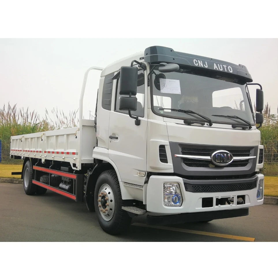 
 Тяжелый грузовик 4.6L 2250 мм Cab R60, профессиональный дизельный грузовик с хорошим обслуживанием  