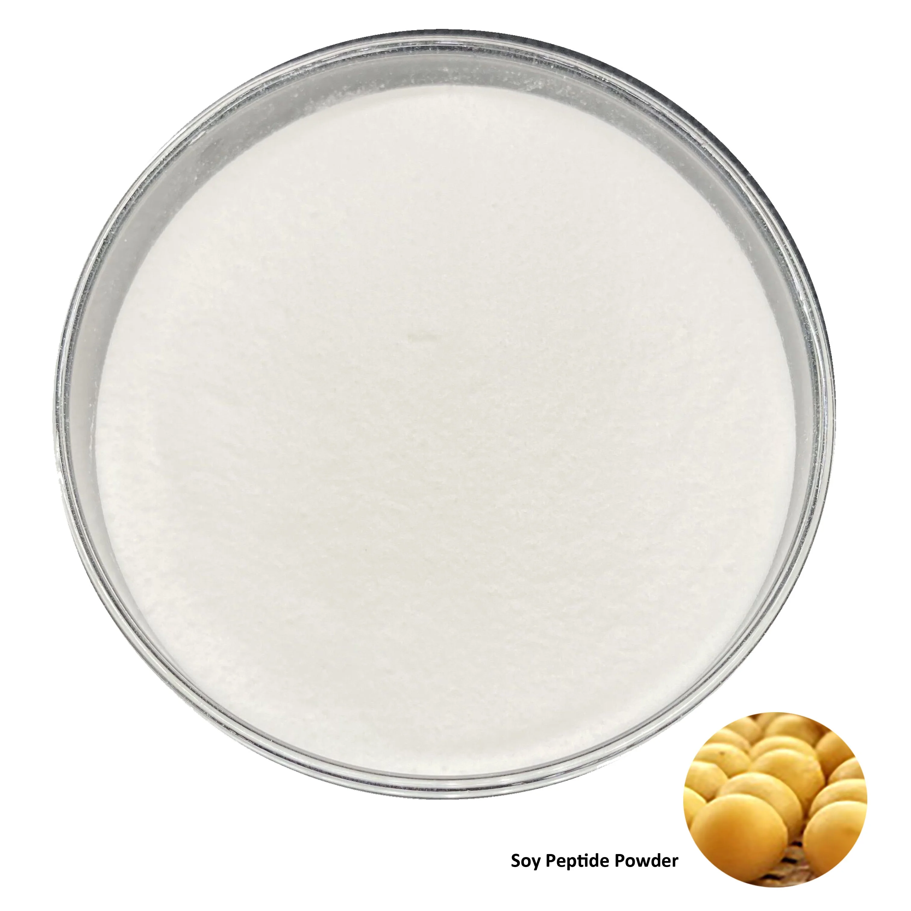 Sport Supplements Bodybuilding Soy Peptide Solid Beverage Raw Material