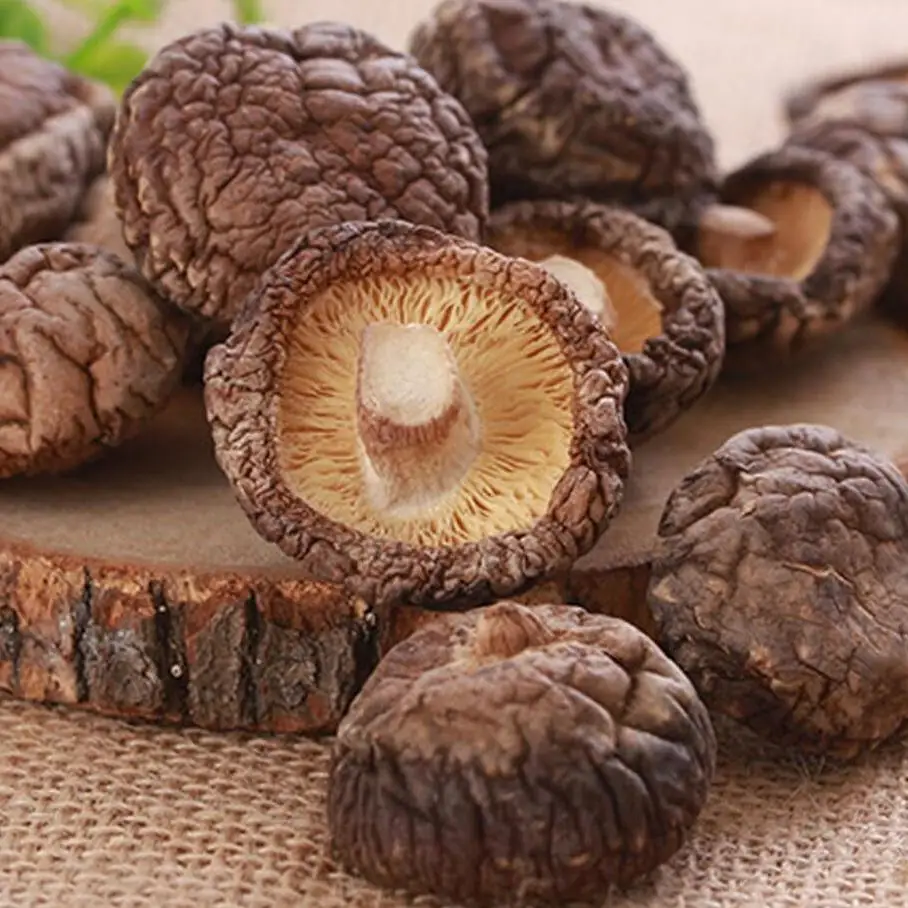 
wholesale top level lentinus edodes dried shiitake flower mushroom price 
