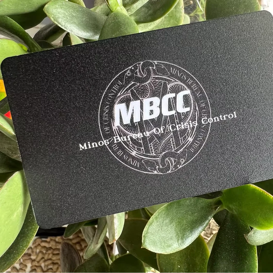 CR80 Customized Frosted Black and white custom plastic business pvc cards