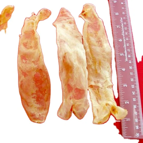 Thailand Premium Quality Seabass Dry Dried Fish Maw