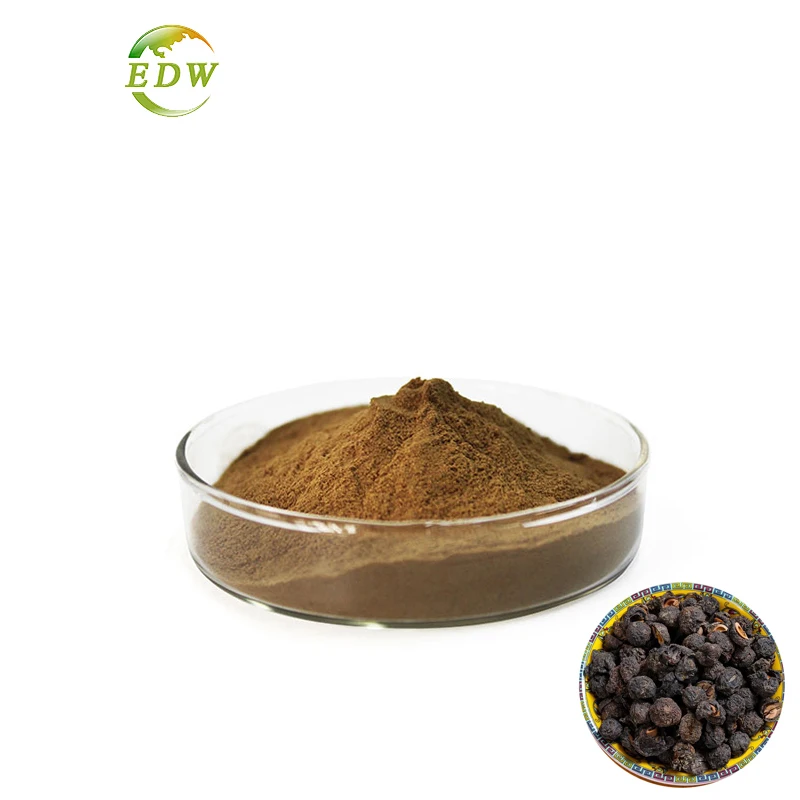 100% Pure Amla Extract Powder Emblic Leafflower Fruit Extract in Bulk