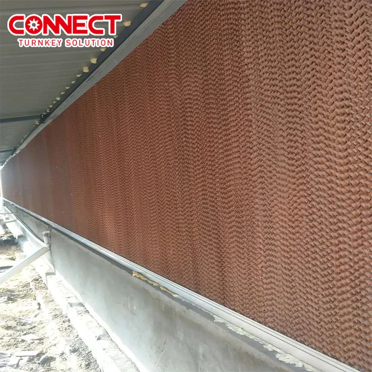 One Stop Service Automatic Poultry Chicken Broiler Breeder Layer floor Coop Fiber Paper Water Evaporative Cooling Pad System