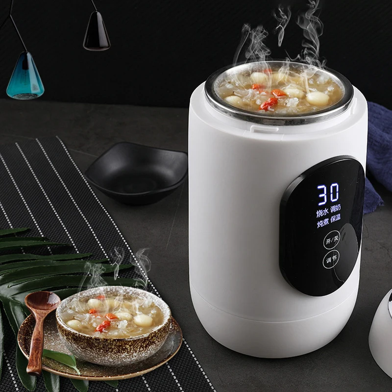 Affordable, compact and portable multifunctional  hot water kettle electric