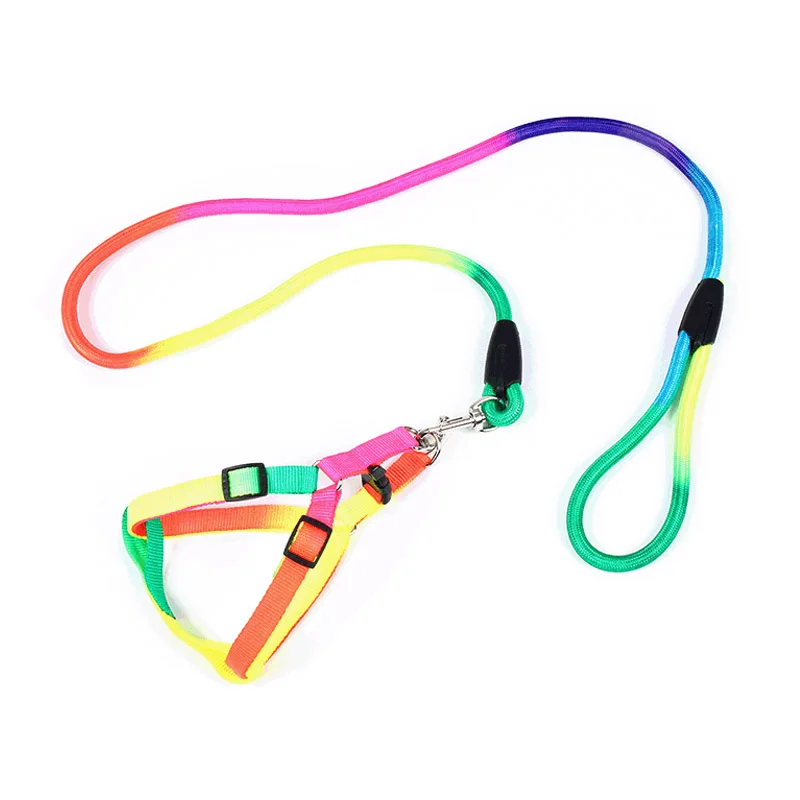 
 Оптовая продажа с фабрики, oem, индивидуальный дизайн, очаровательные модные поводки для собак, металлические пряжки, комплект Ошейников для дрессировки собак  