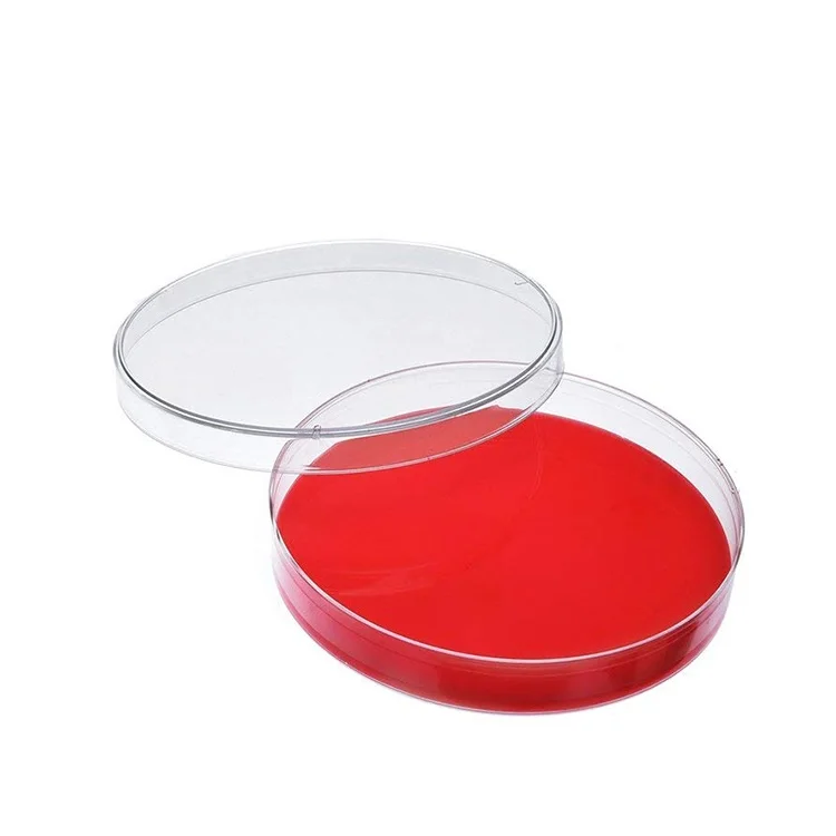 
petri dish glass 100x20 petri dishes 90 