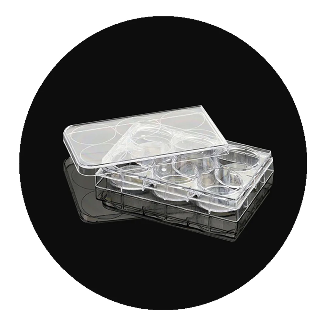 Shira Wholesale Plastic Sterile Well Plate With 6/12/24/48/96 Cell Culture Plate Petri Dish Plate For Other Lab Supplies