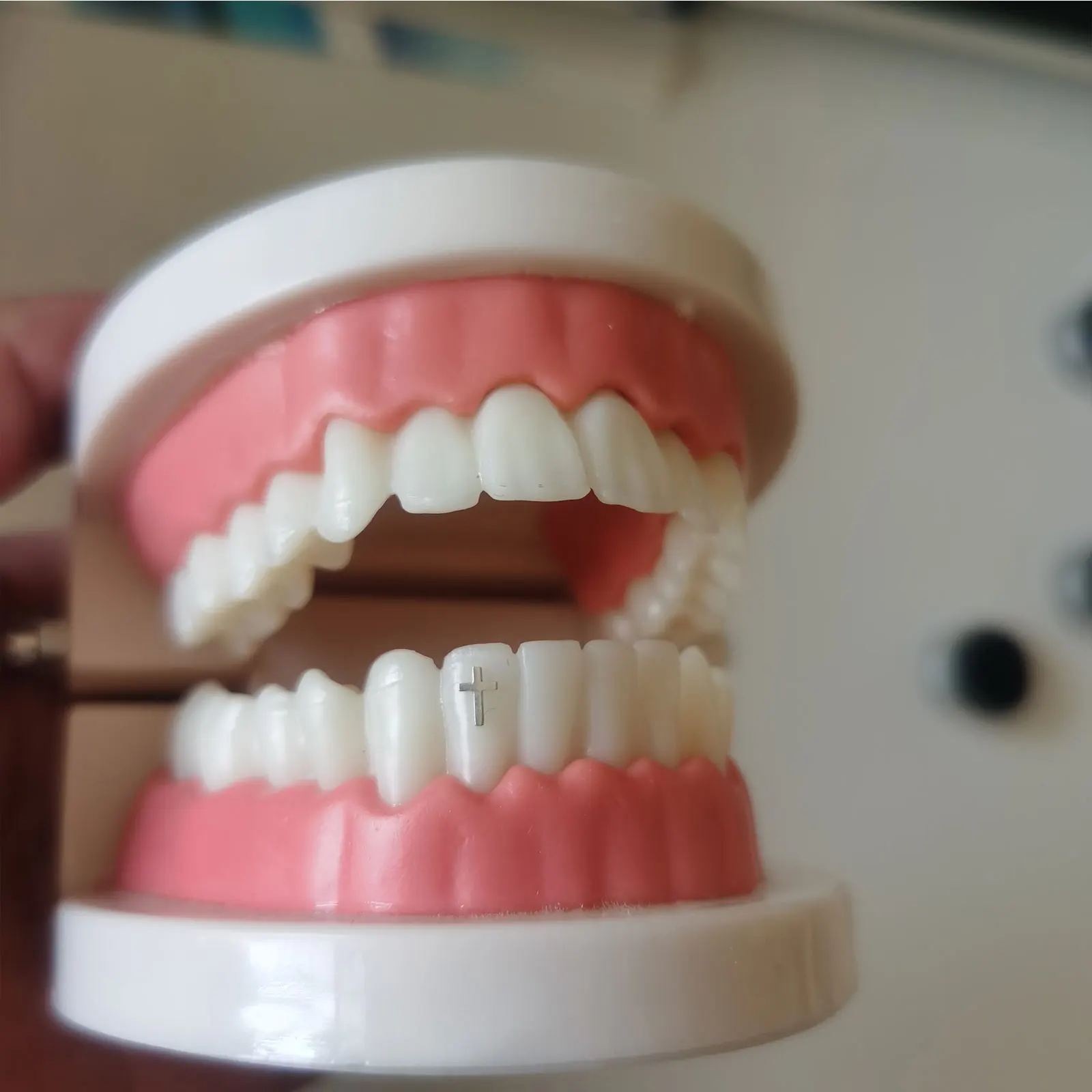 Hot selling 4 PCs  Medical pure titanium Tooth gems five leaf slover  teeth jewelry Best selling Teeth gems