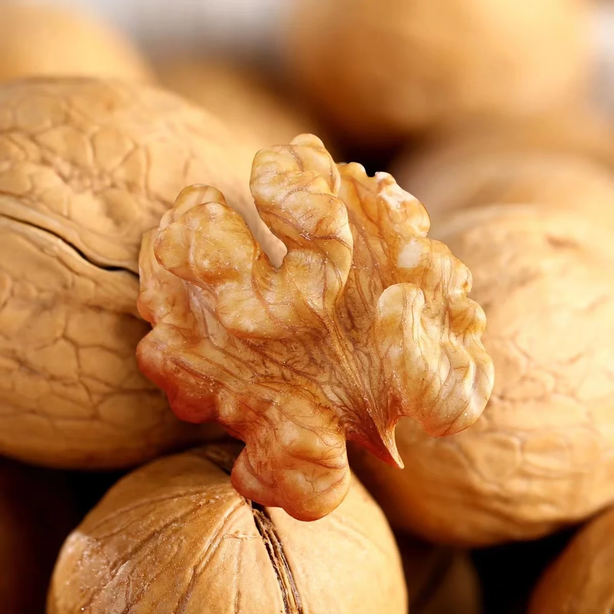 Wholesale Price Best Quality Delicious Nutrition Walnut Kernel From Turkish
