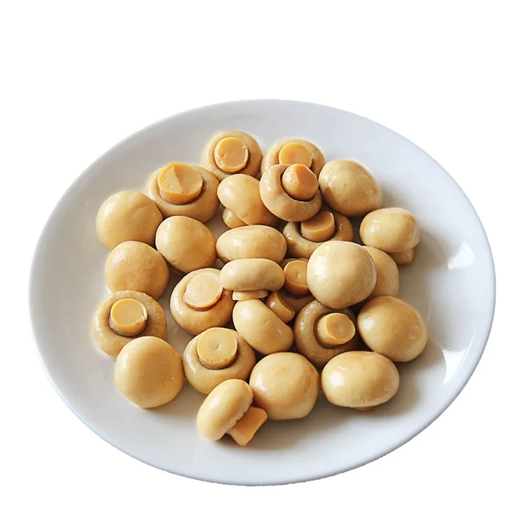 Good Quality Canned Mushroom in Brine Whole