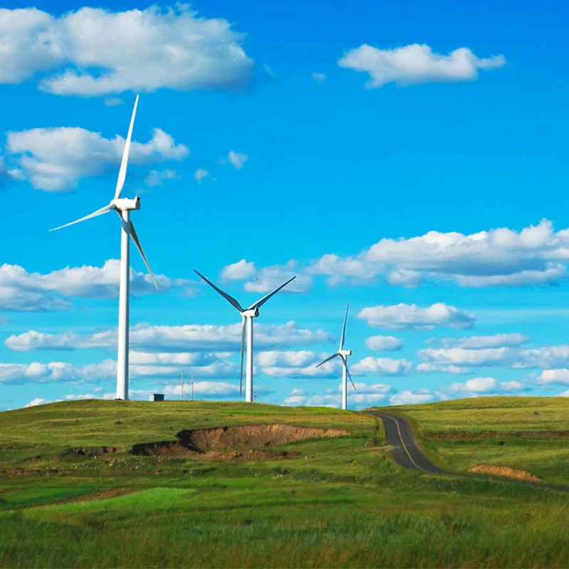 1000W 48v/96v/120v/220v/240v Horizontal wind turbine generator with wind mills electric generator