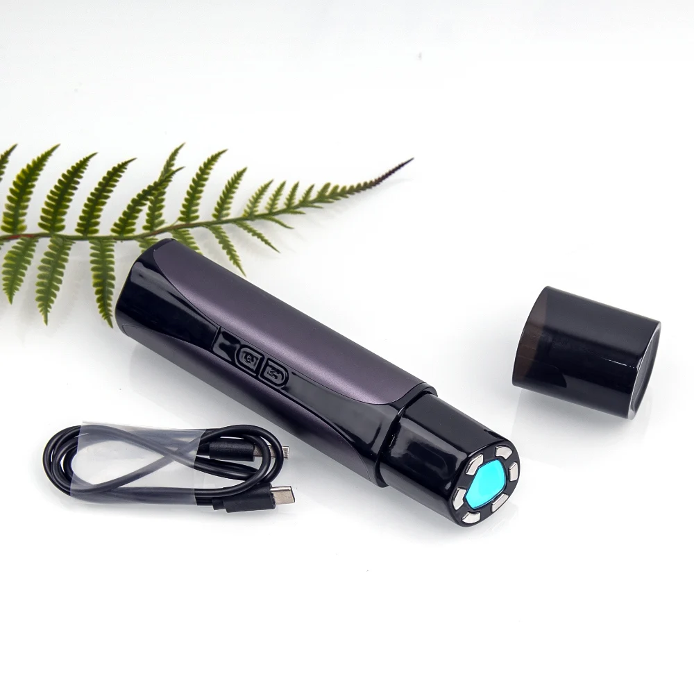 2023 Radio Frequency Device Home Use Rf Beauty Instrument Skin Tightening for Face and