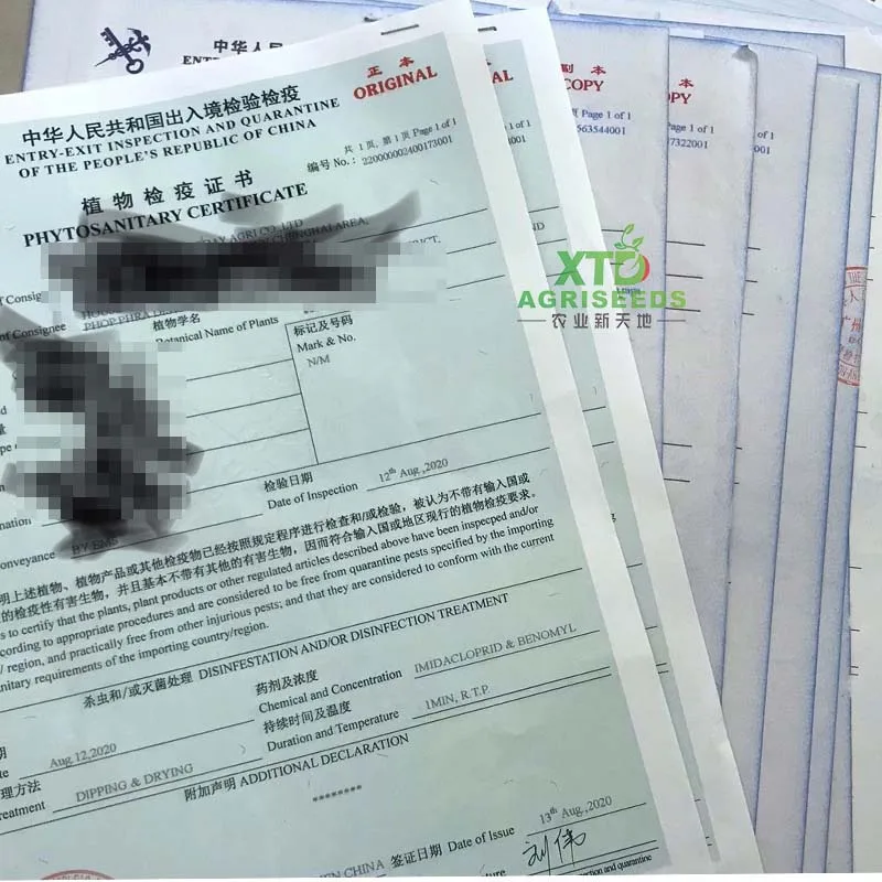 
Seed export lience agency supplier(CIQ Certiifcate of Inspection n quarantine ) 