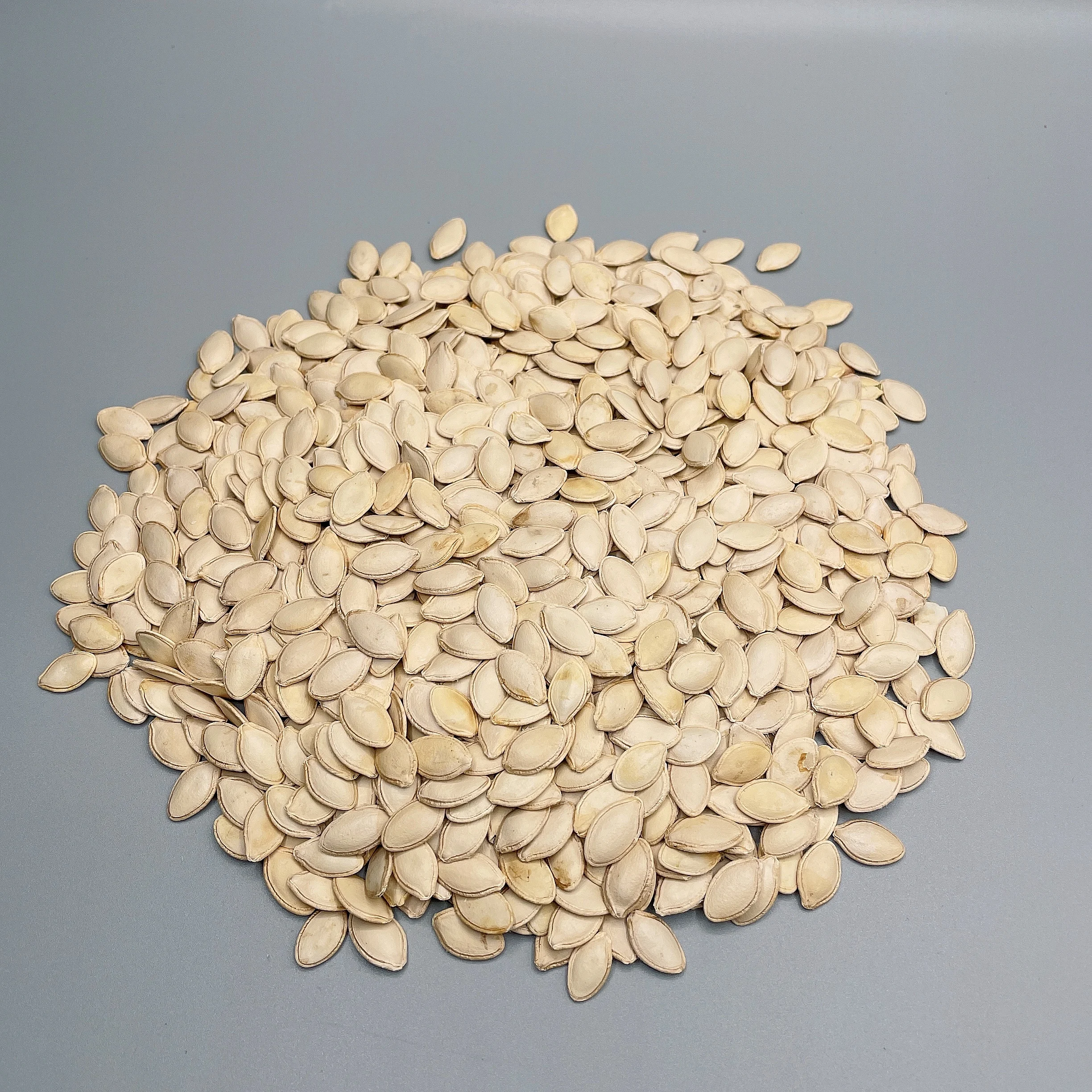 China factory price shine skin pumpkin seed Top grade export quality shine skin pumpkin seed on sale