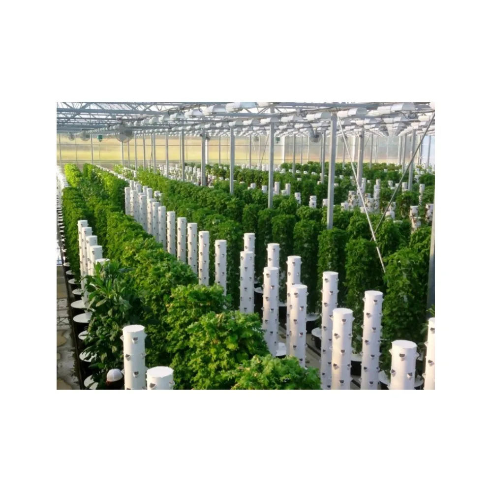 Дешевые многопролетные green house структура агрикультурные теплицы для томатов