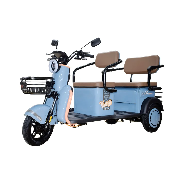 Factory Sales Small 2 Row Electric Passenger Cargo Tricycle with Storage Box for Adults 48V 800W 3 Wheel Moped Scooter Elderly