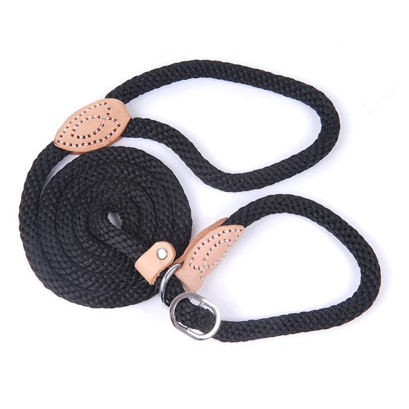Pet accessories Walking Training anti chock Rope Slip Dog Leash Soft Comfortable dog rope leash Nylon P Chain Dog Leashes