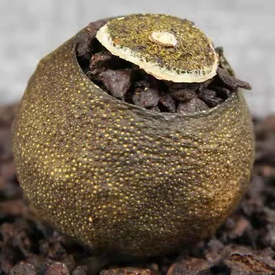 Xiao Qing Gan Orange Puer чай ферментированный чайный шарик с апельсиновой цедрой