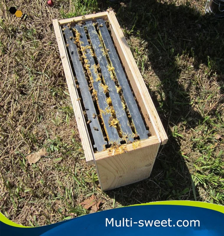 Queen Rearing Beehive 5 Frame Nuc Box For Beekeeping Nuc Box Beehive