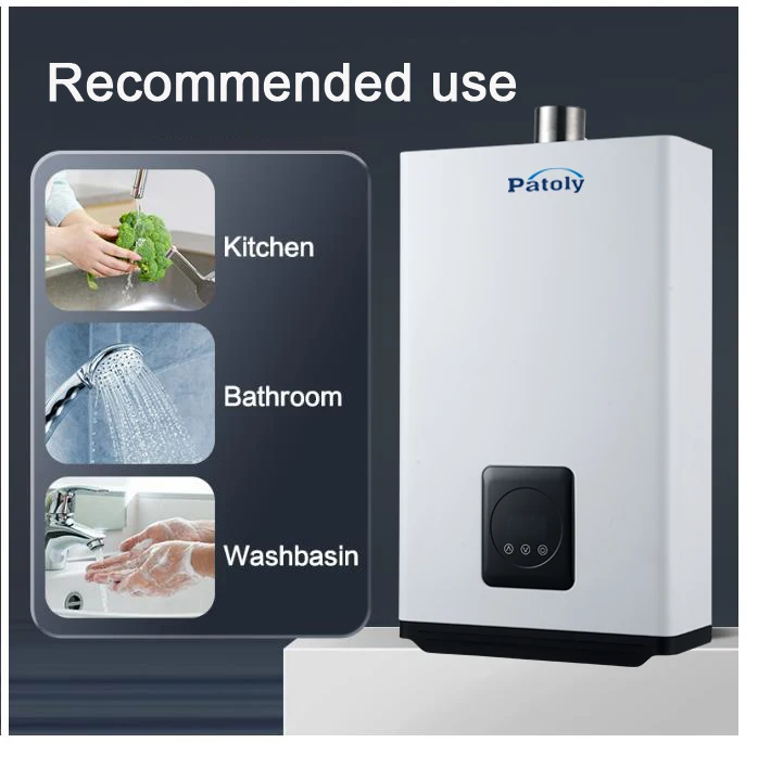 110V/220V Bathing Instant Gas Hot Water Heater lpg Ng Natural Oxygen Free Copper Heat Exchanger Wall Mounted Household