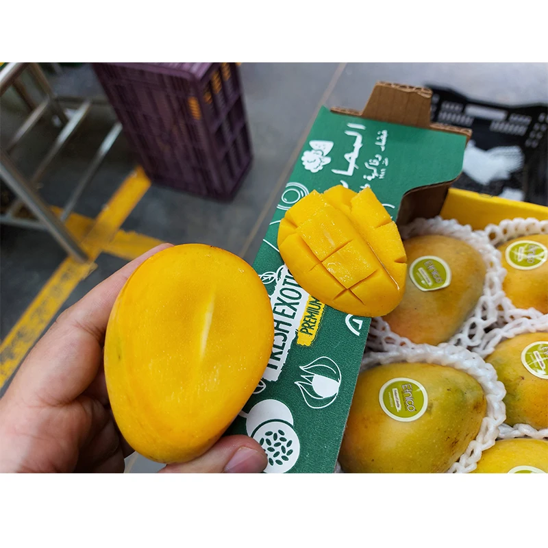Premium Quality Fresh Fruit Colombian Mango Fresh Exotic Fruits Sugar Baby Mango