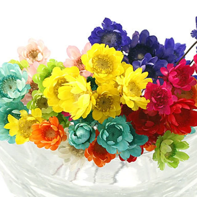 Wholesale 1 Bunch Mini Natural Dry Flowers Daisy Chamomile Bouquet Brazilian Small Star Daisy Decorative Dried Flowers