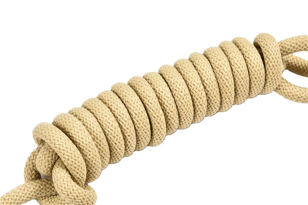 Factory Supply Dog Nylon Leash Rope Comfortable Pet Leash Rope Waterproof Luxury Dog Leash