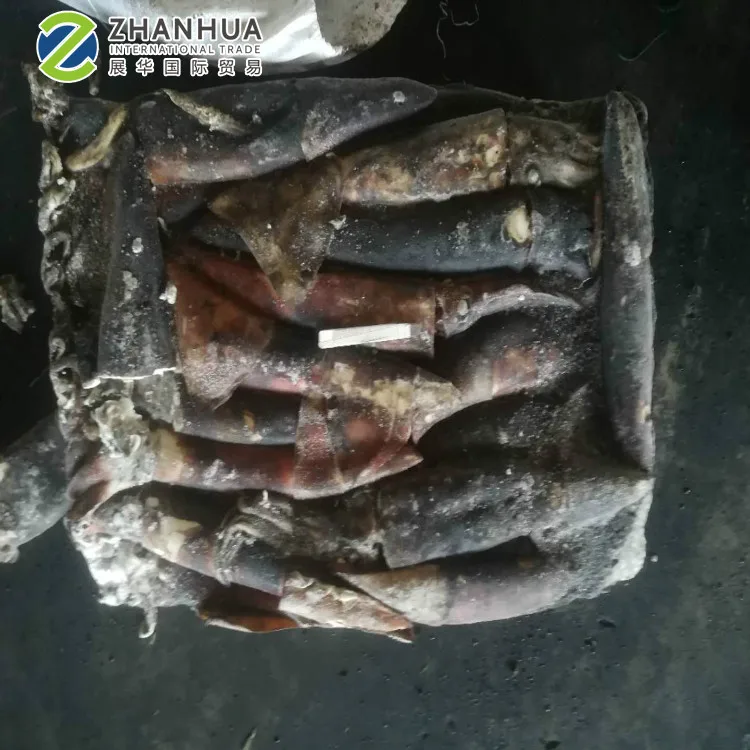 Экватор кальмар для наживки, мясо кальмара, замороженное на лодке, необработанный кальмар