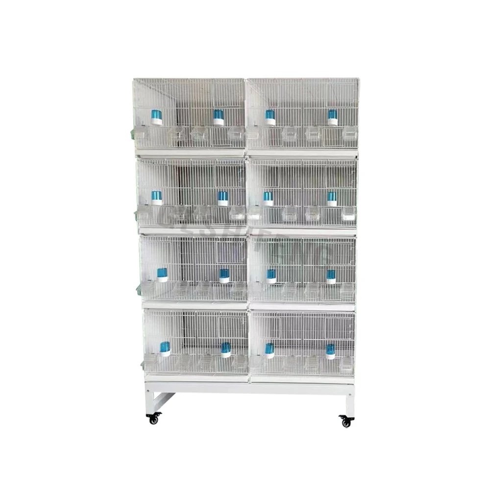 Wholesale Geshifeng Cheap 4 Layers Large Space Breeding Bird Cage In Pakistan With Accessories Bird Cage
