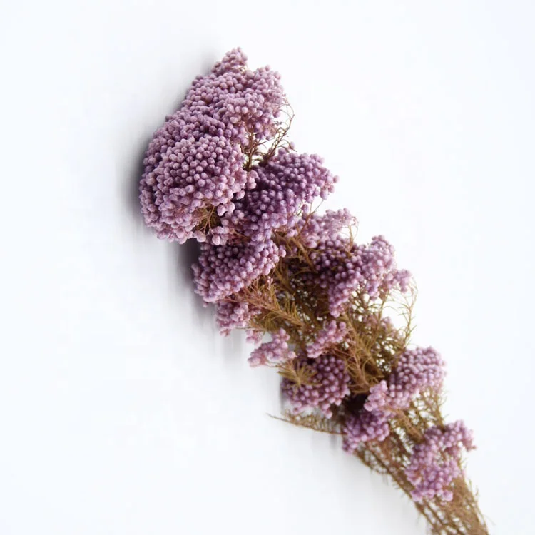 Natural small dried preserved millet flower rice flowers floral decors wedding design