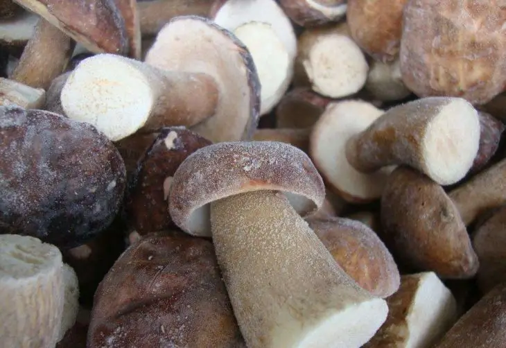 Новый Урожай диких порчини гриб замороженный Boletus Edulis
