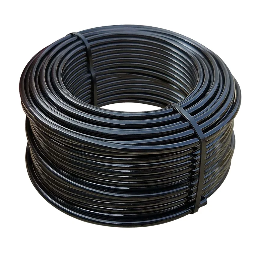 Chinese supplier Steel Wire Rope 7x19 PVC Coated Gym Cable for Fitness Equipment