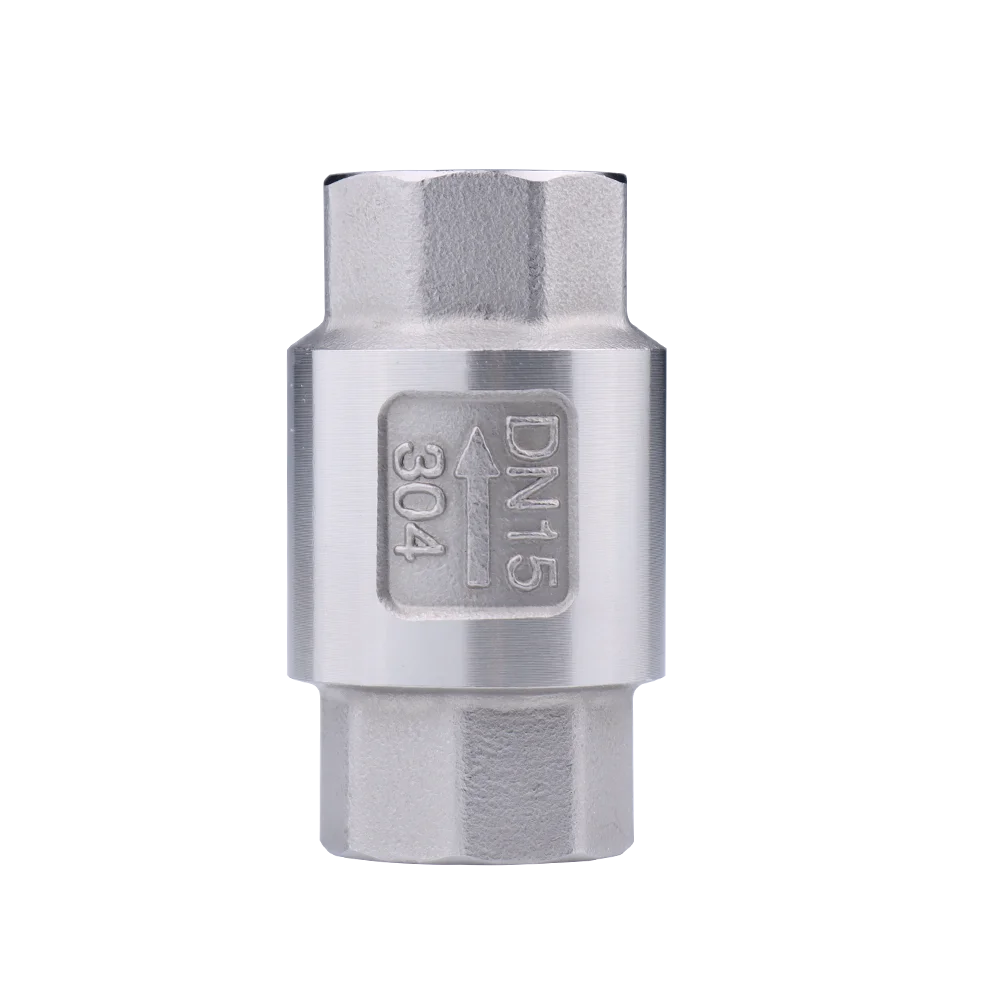 Stainless Steel  Vertical Check Valve Various Good Quality Efficient Purification Vertical Check Valve High Pressure Check Valve