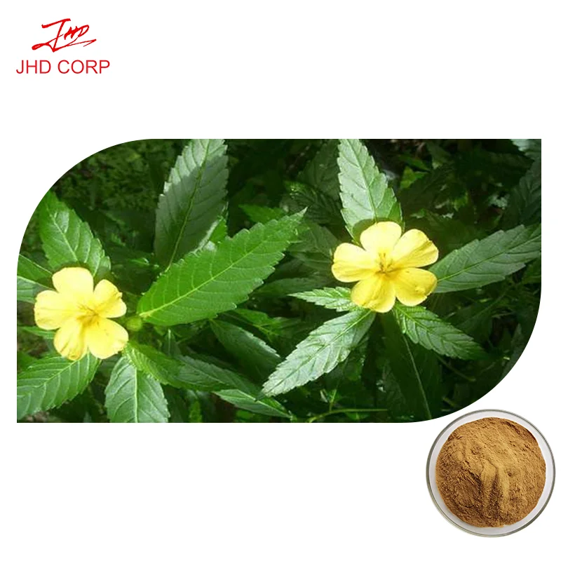 Best price pure damiana leaf extract Stimulate male hormones damiana extract