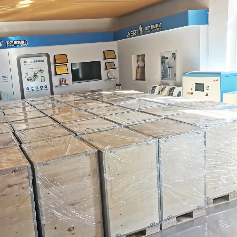 AERTI Good Price Iron Casting High Flow Oxygen Adjustable 20 Lpm Oxygen Generator For Fish Farming