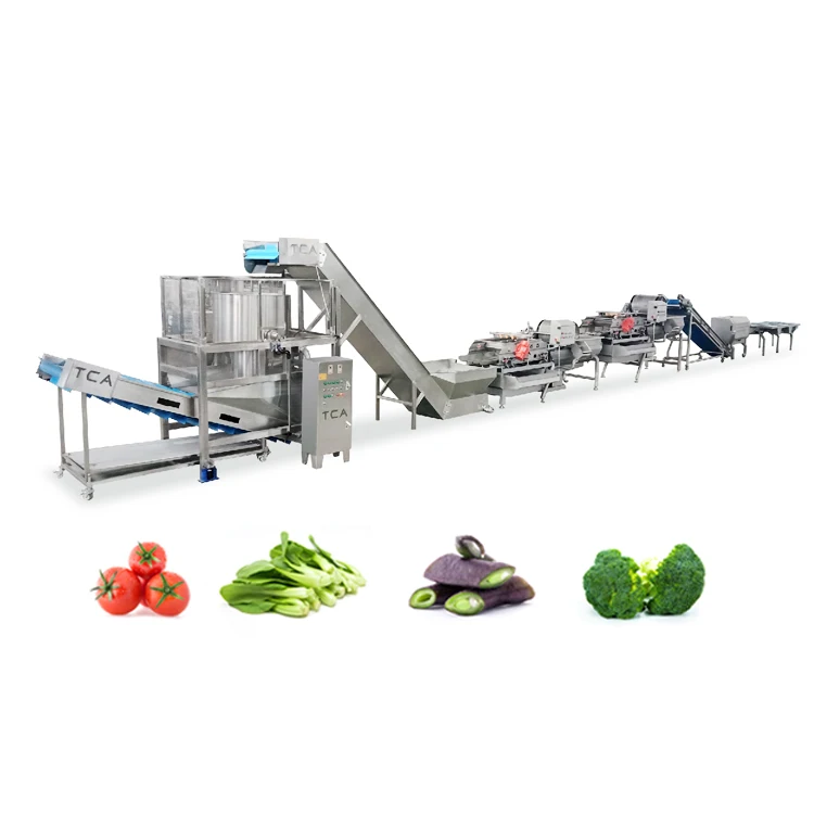 TCA commercial high efficiency fruit and vegetable processing machine and drying