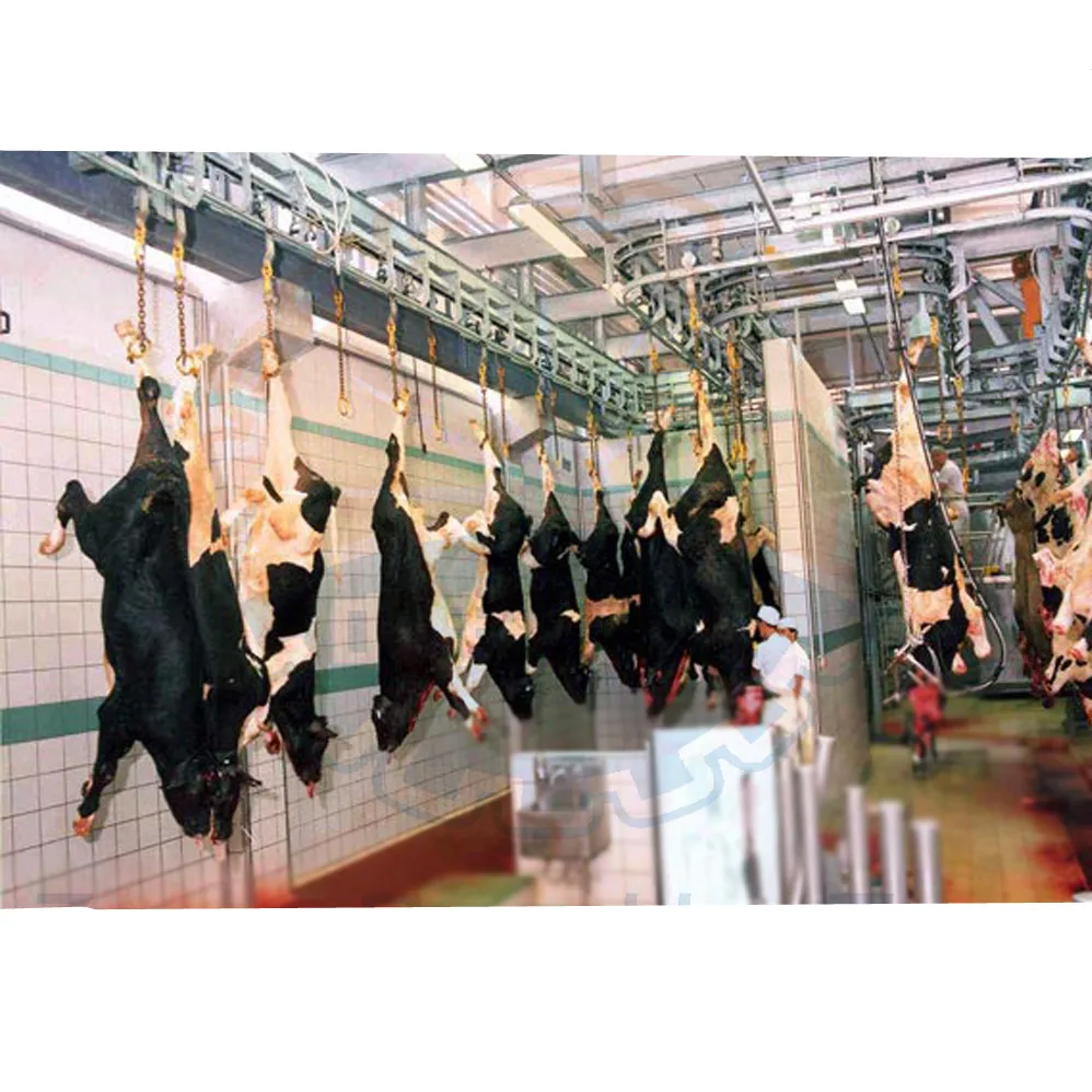halal  slaughter equipment Cattle carcass step conveyor for cattle abattoir dressing line