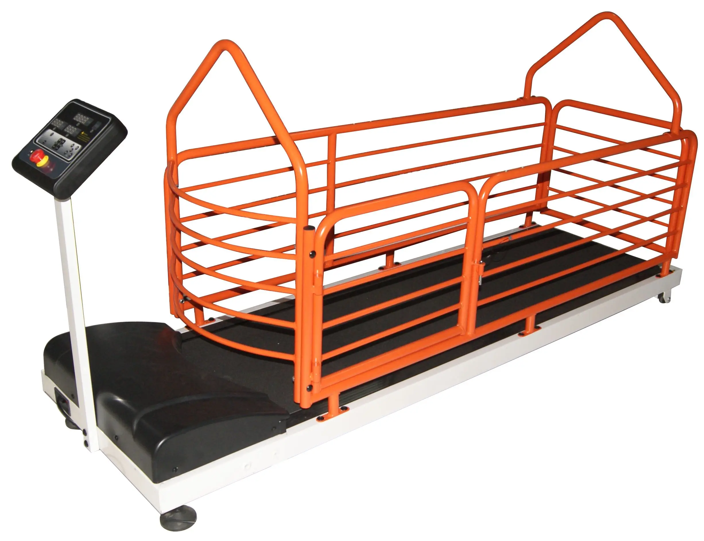 MT Medical High Quality Dog Treadmill Pet Fitness Product with Anesthesia Properties Veterinary Instrument